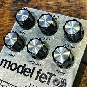 Electronic Audio Experiments - Model feT