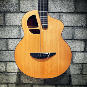 [DISPLAY UNIT] L. Luthier - Le Light S